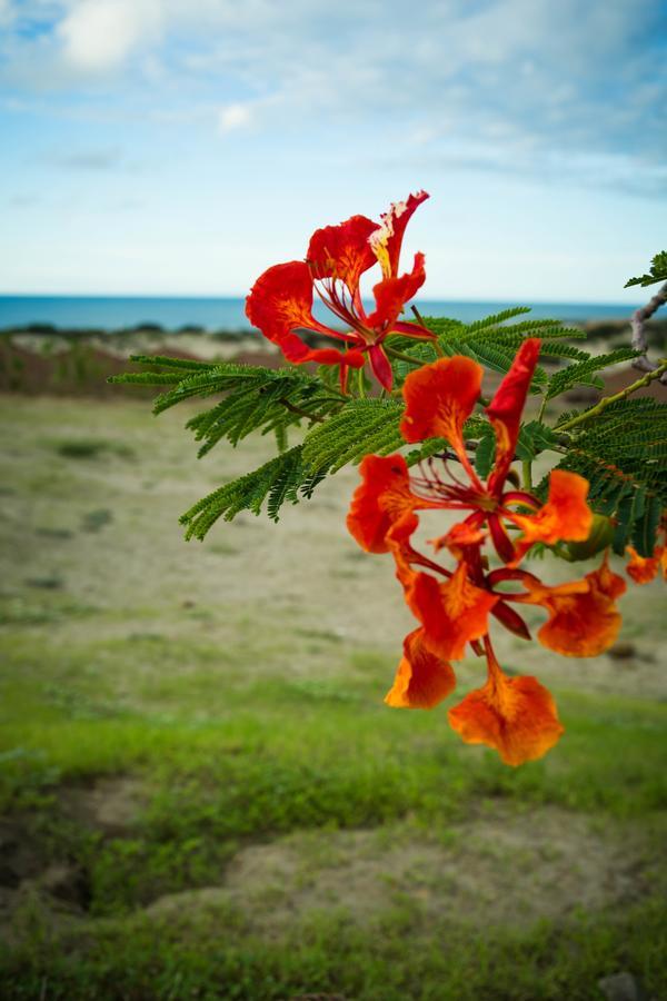 Villa Al Fe Los Órganos Oda fotoğraf